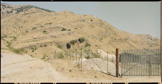 "Madonie, Paesaggi 1973/2021. Fondo storico e nuove committenze" - ph Alvise Raimondi
