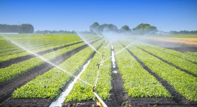 L'irrigazione sostenibile ha un impatto positivo anche dal punto di vista economico...