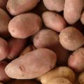 La Sicilia che resiste nei Presìdi Slow Food