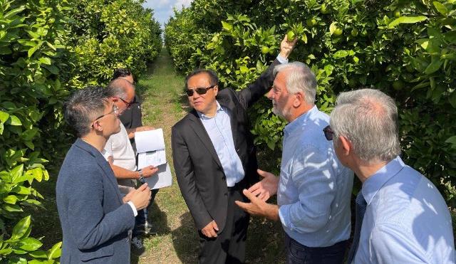 Delegazione Cinese in visita nell'azienda Oranfrizer