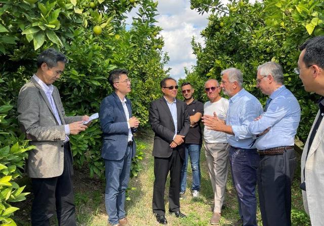 L'ambasciatore cinese Guang Defu alla scoperta dell'Arancia Rossa Siciliana