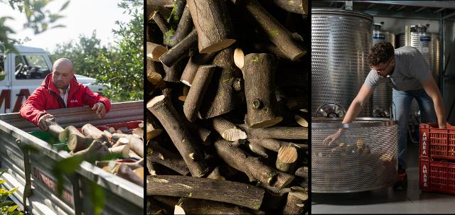 Potatura, raccolta e lavorazione della corteccia degli alberi di Arancia Rossa di Sicilia IGP