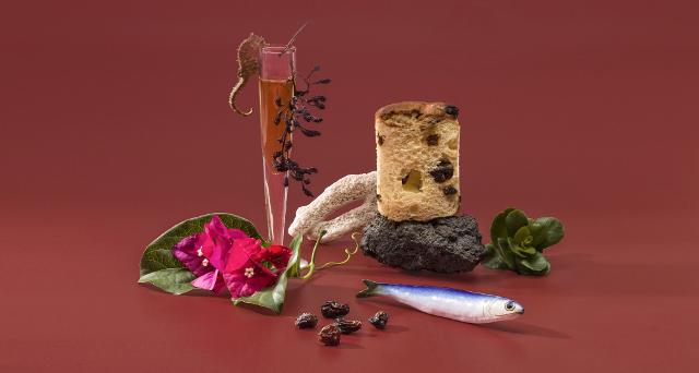 Il panettone Di Stefano all'Uva passa Zibibbo di Pantelleria Il panettone Di Stefano all'Uva passa Zibibbo di Pantelleria