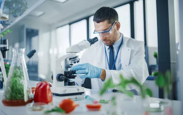 Nel "Laboratorio di chimica dei processi fermentativi e degli alimenti", del Dipartimento BIOMORF dell'Università di Messina, si lavora per far diventare gli scarti alimentari una risorsa green per l'ambiente e la salute...