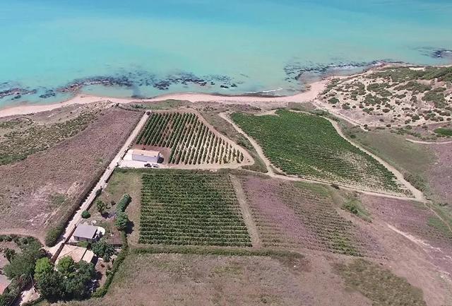 Nel Menfishire, su tre vigneti eletti, che coprono una superficie di circa 6 ettari, si trova la culla che custodisce le uve Nero d'Avola del Cartagho...