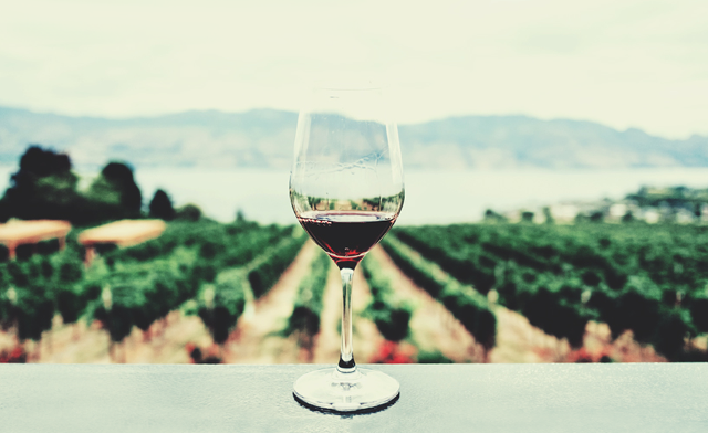 È nato il Consorzio Doc Mamertino