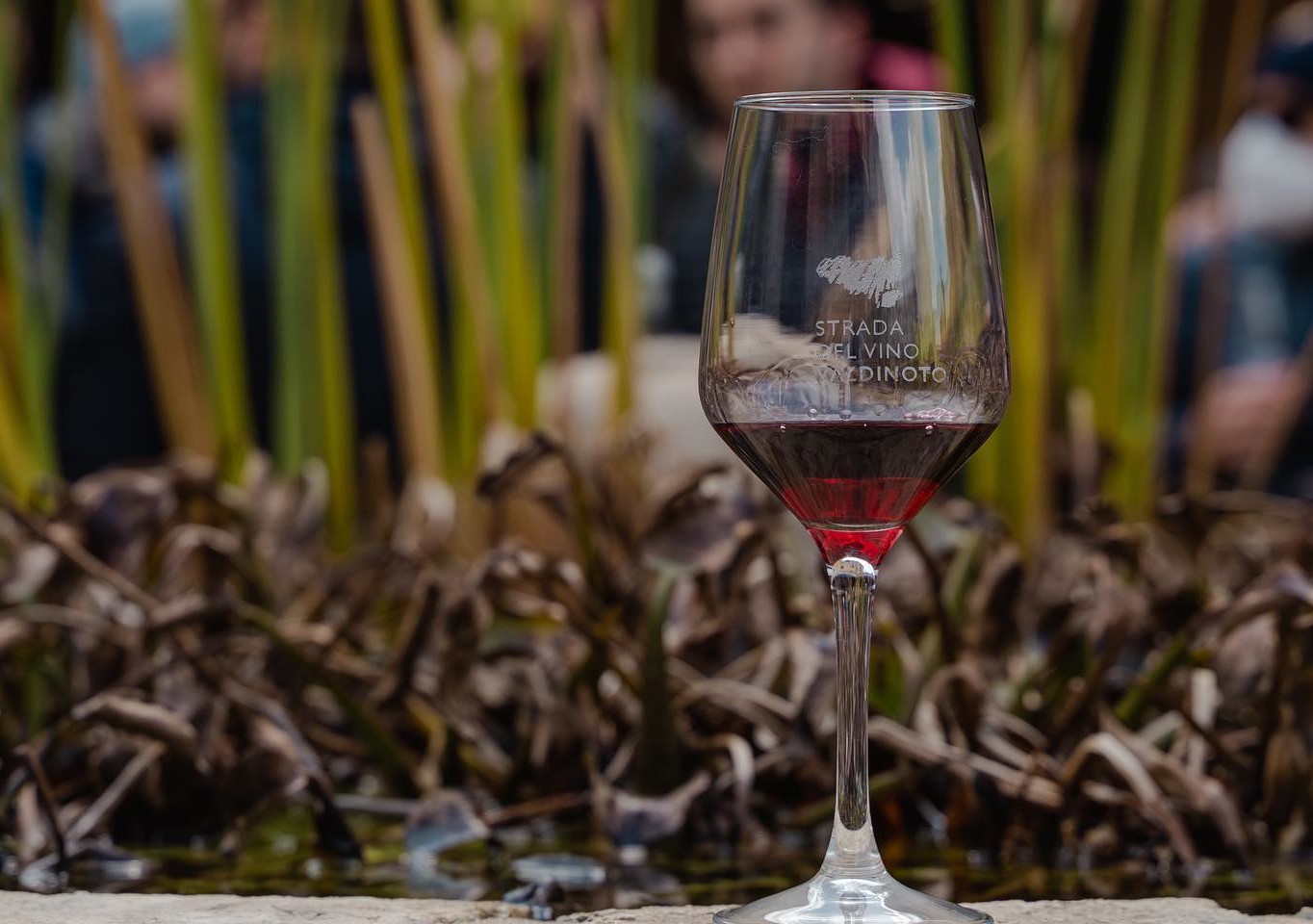 Torna "VVN - Vini e Vigne del Valdinoto": solo per veri amanti del vino