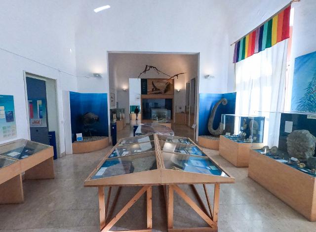 Museo Civico di Storia Naturale di Comiso