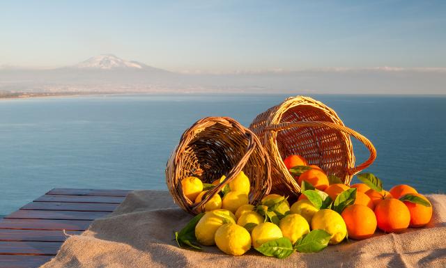 Al Crea di Acireale (CT), nel Centro di Olivicoltura Frutticoltura Agrumicoltura (OFA), sono infatti partite le prime applicazioni per il miglioramento della qualità dei frutti mediante le TEA, Tecnologie di Evoluzione Assistita in agrumicoltura, che mirano a coniugare in un unico frutto antocianine e licopene...