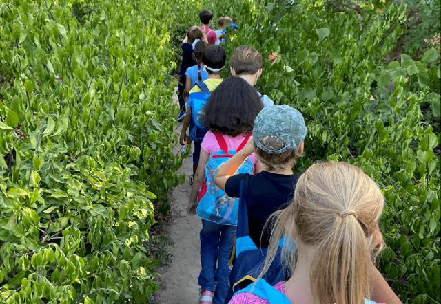 A Palermo i bambini tornano a giocare - e imparare - in natura