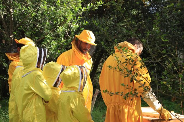 C.U.R.A. - Comunità Urbane Restituite all'Ambiente - Laboratorio di Apicoltura