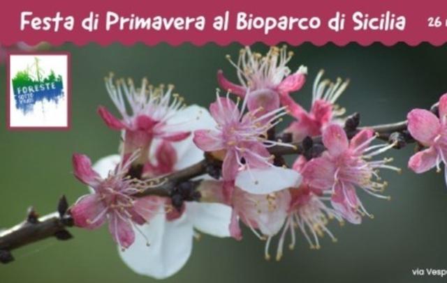 festa-di-primavera-al-bioparco-di-sicilia-a-carini