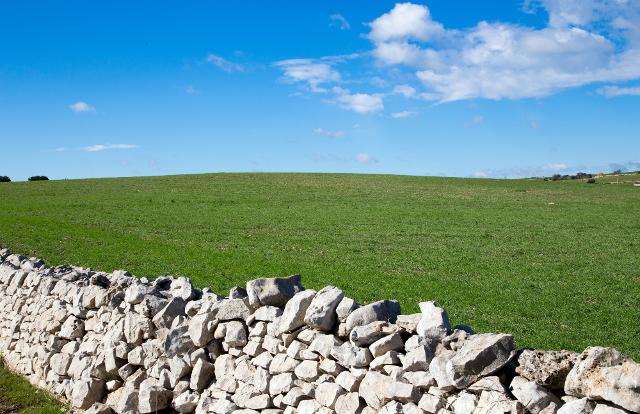 La Banca nazionale delle Terre Agricole (BTA) di Ismea La Banca nazionale delle Terre Agricole (BTA) di Ismea