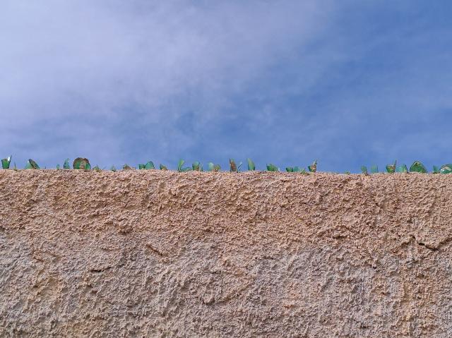 Palermo - "Ti voglio un bene pubblico" Elisabetta Consonni Palermo - "Ti voglio un bene pubblico" Elisabetta Consonni
