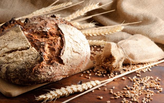 In Sicilia un ''nuovo'' pane dal primo grano coltivato dall'uomo