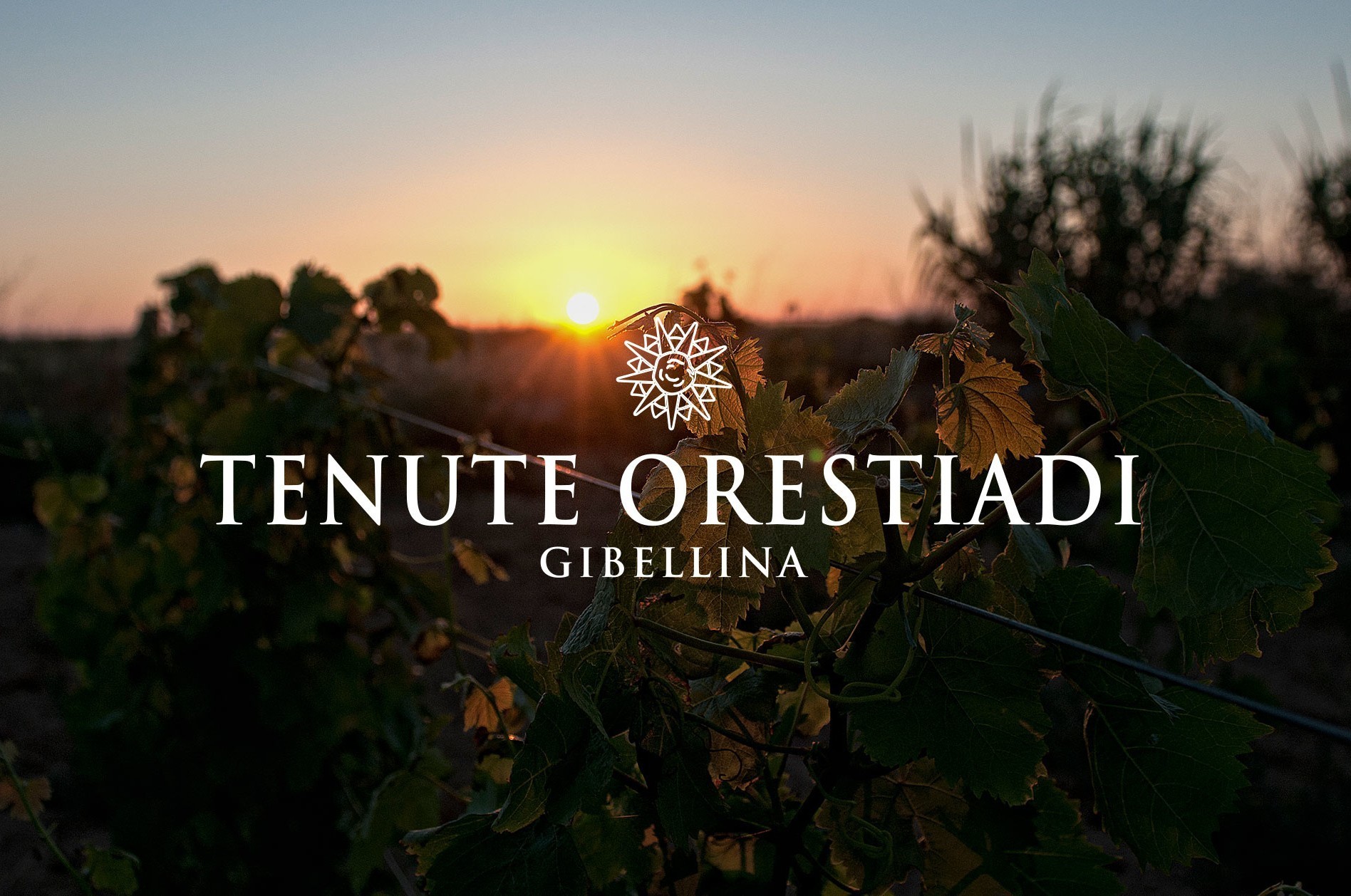 Le Tenute Orestiadi portano le loro eccellenze al Vinitaly 2025 | Guida ...