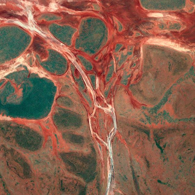 Australia, 2013 - "Crocifissione"