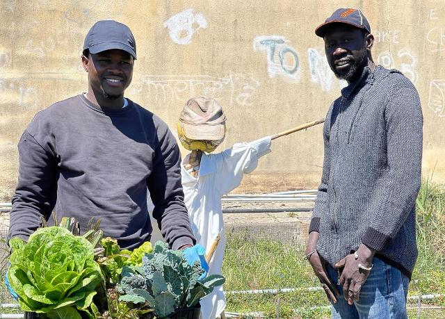 Gli ortaggi raccolti dai migranti sulle tavole di 5mila soci del CRAL ST Etna Valley