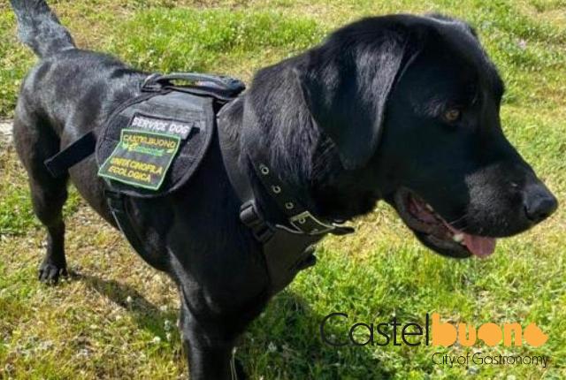 BEE, Unità Cinofila Ecologica di Castelbuono