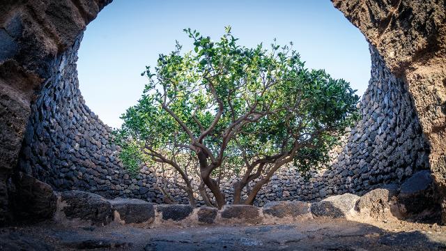 Il Giardino Pantesco che Donnafugata ha donato al FAI - Fondo Ambiente Italiano - ph Flavio Leone