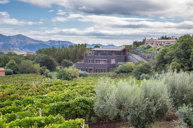 Cantine Aperte 2023 e la Wine Experience di Cavanera sull'Etna