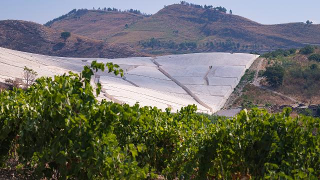 Cantine Aperte 2023 alle Tenute Orestiadi