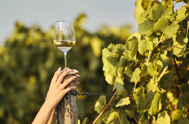 Perché scegliere un vino "naturale"? Perché scegliere un vino "naturale"?