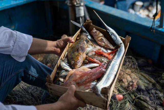 Gioacchino Gargano e il pescato del giorno di Porticello