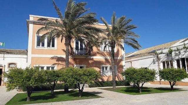 Gli agrumi antichi nella storica cantina Donnafugata di Marsala