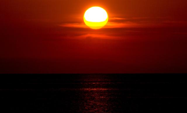 Volete vedere gli effetti della crisi climatica sul nostro bel mare siciliano?