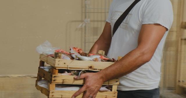 "StuPisci Sicilia" - Panastudio Productions