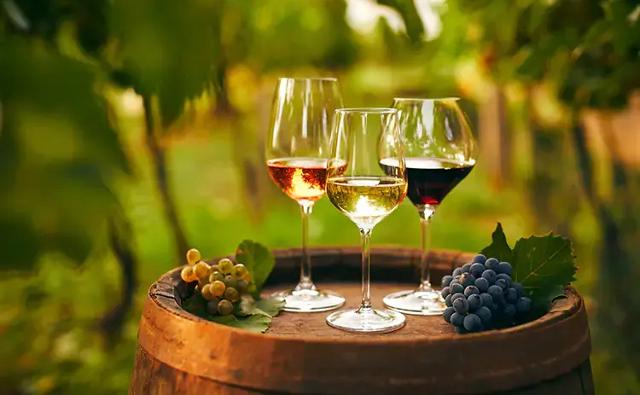 Tre Bicchieri 2024 della Sicilia: le novità