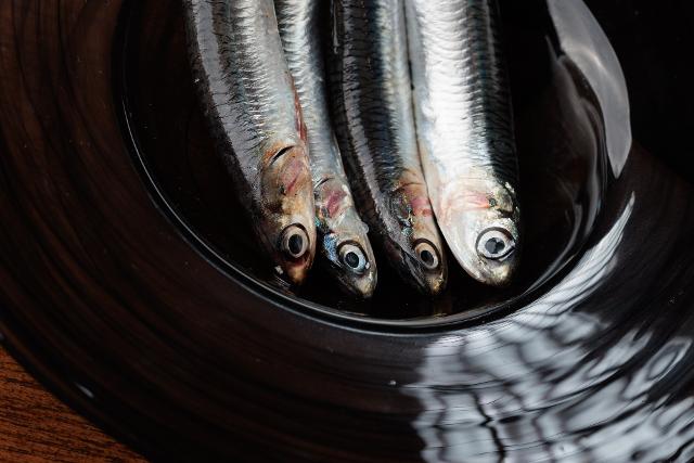 Acciughe, Casa & Putia  - ph. Giovanni Federico Acciughe, Casa & Putia  - ph. Giovanni Federico