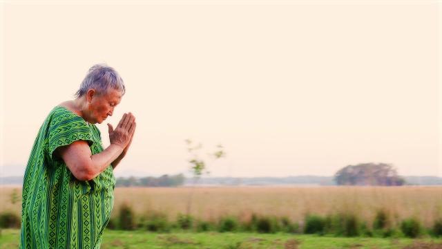 "Aretè" di Elia Zaramella