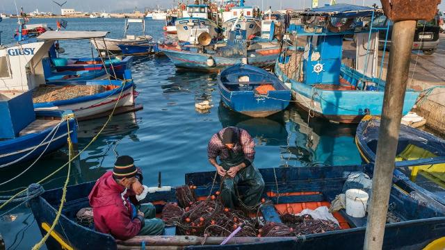 In Sicilia l'industria ittica segna la strada per un futuro migliore