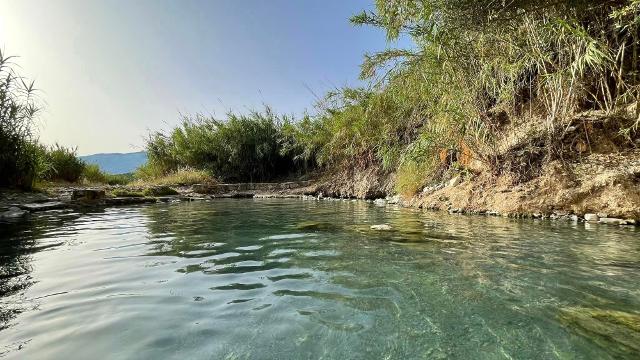 Polle del Crimiso a Segesta