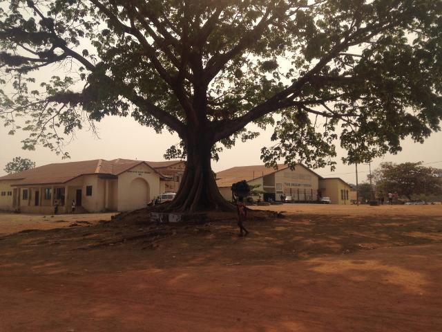 "The Years We Have Been Nowhere" di Lucio Cascavilla e Mauro Piacentini