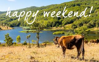 Cosa fare in Sicilia nel weekend?