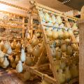 La Sicilia che resiste nei Presìdi Slow Food