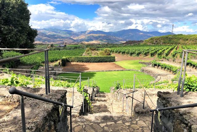 Vigneti "Barone Di Miceli", Castiglione di Sicilia