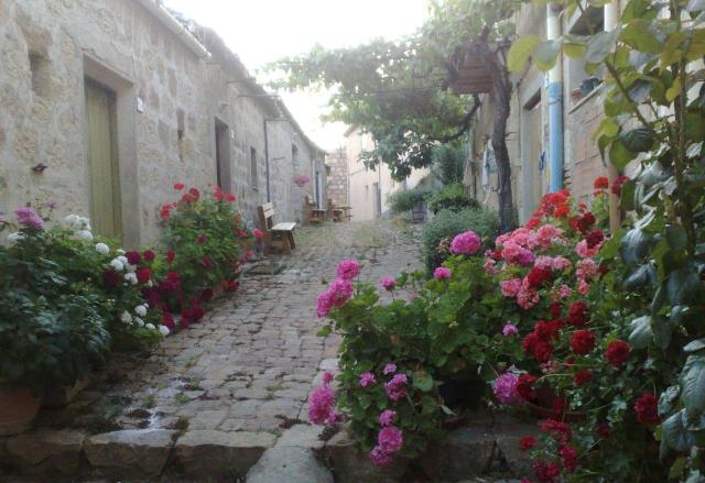 Scorcio della fazione Cipampini di Petralia Soprana