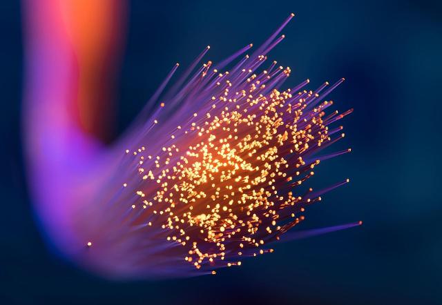 Fibra ottica