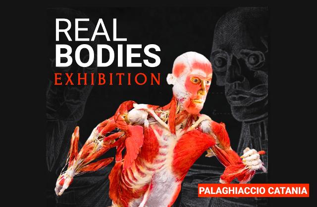 -real-bodies-exhibition-al-palaghiaccio-di-catania-la-sconvolgente-mostra-sul-corpo-umano