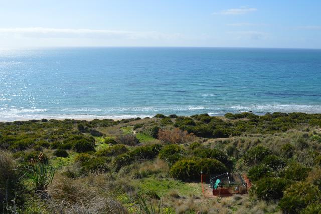 L'area della Capparrina dove Planeta ha allestito gli habitat temporanei controllati per l'adattamento dei Francolini di mare al nuovo ambiente