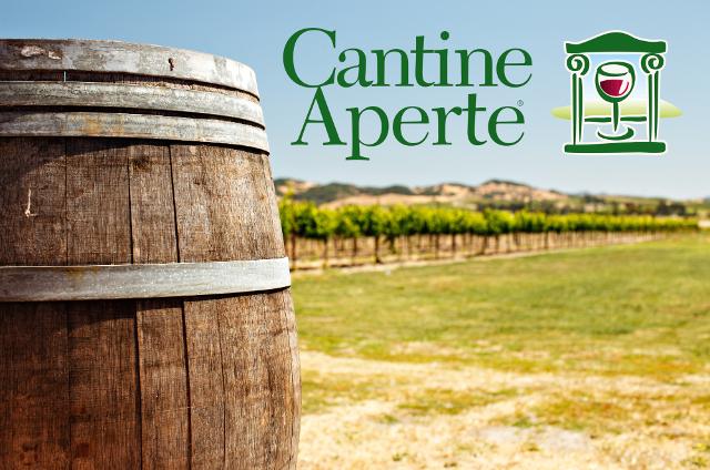 Pronti ad assaggiare i vini più buoni della Sicilia? Domenica c'è Cantine Aperte