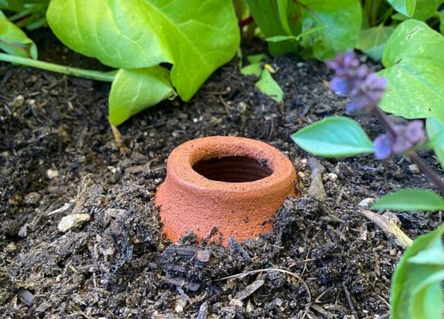 Irrigazione solare passiva tramite ollas