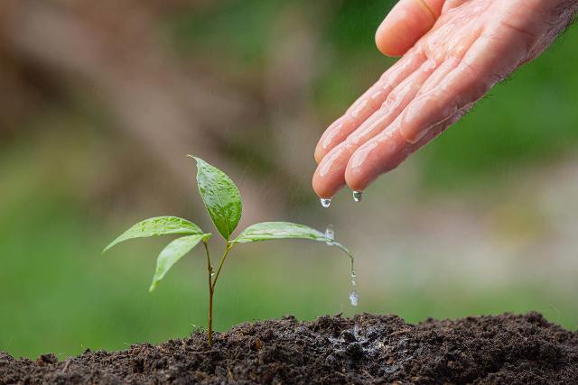 10 tecniche di irrigazione sostenibile per contrastare la siccità