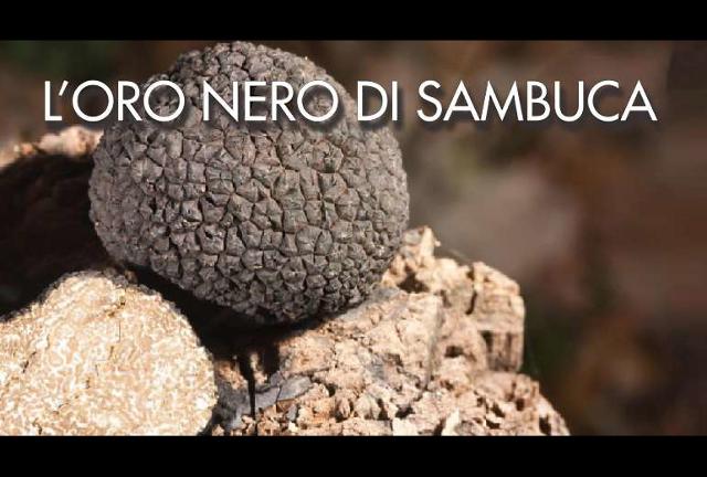 l-oro-nero-di-sambuca-di-sicilia-ag-la-sagra-del-tartufo