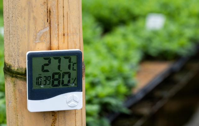 Sensori di umidità del terreno