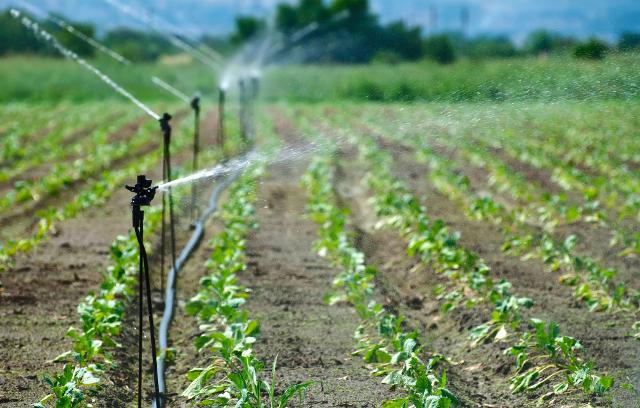 Un sistema di irrigazione ben progettato e sostenibile contribuisce alla creazione di habitat vari e ricchi di biodiversità...